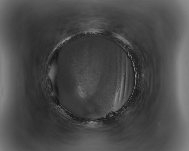 X0000086761160200705041442