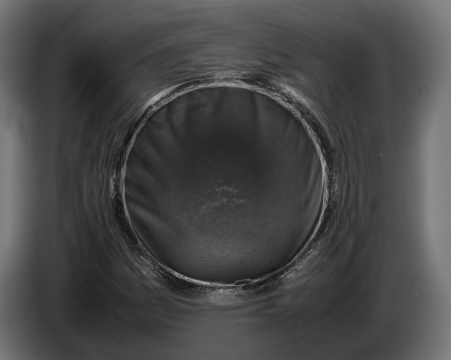 X0000086761161200705041442