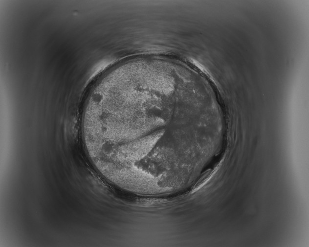 X0000086761163200705041442