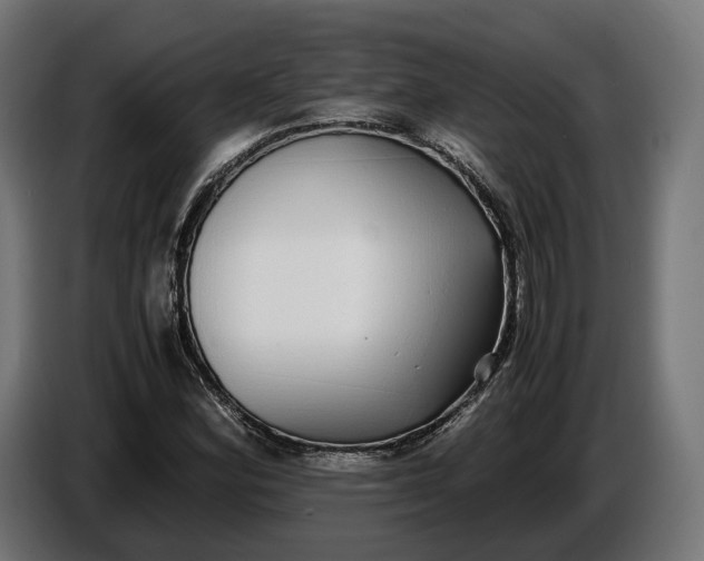 X0000086761164200705041442