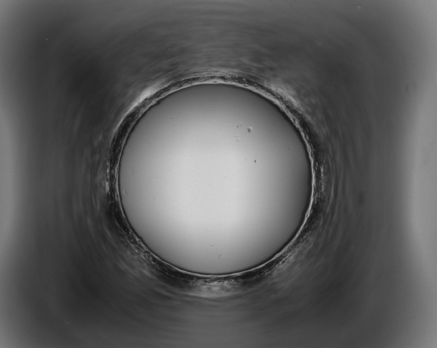 X0000086761165200705041442