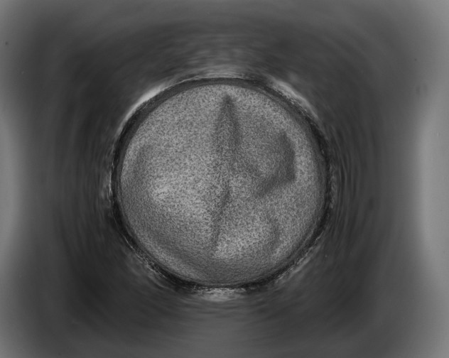 X0000086761166200705041442