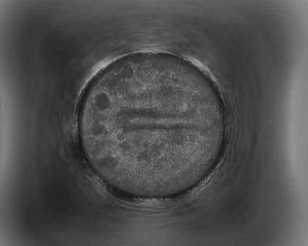 X0000086761167200705041442