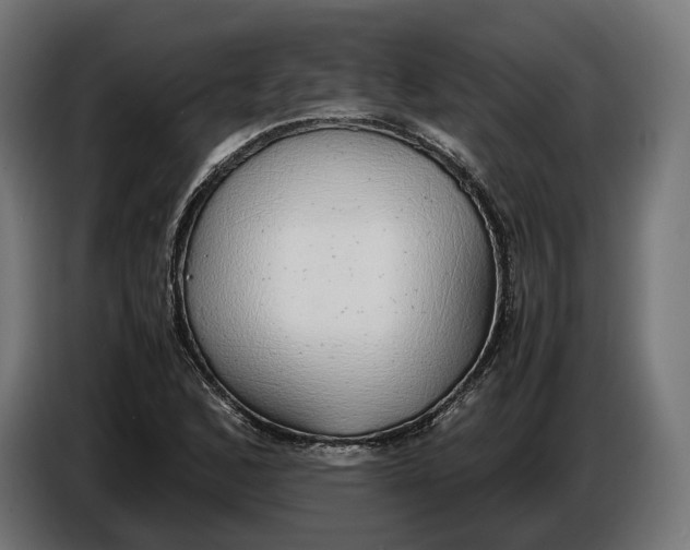 X0000086761168200705041442