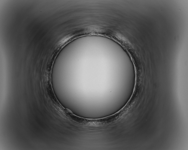 X0000086761169200705041442