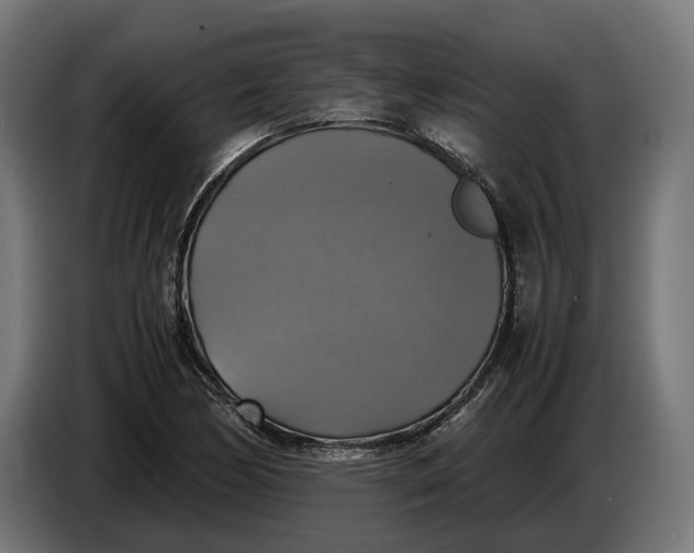 X0000086761170200705041442