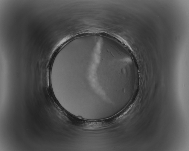 X0000086761171200705041442