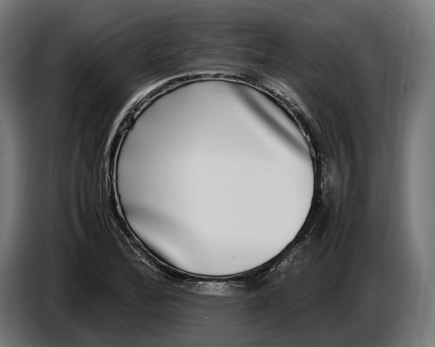 X0000086761172200705041442