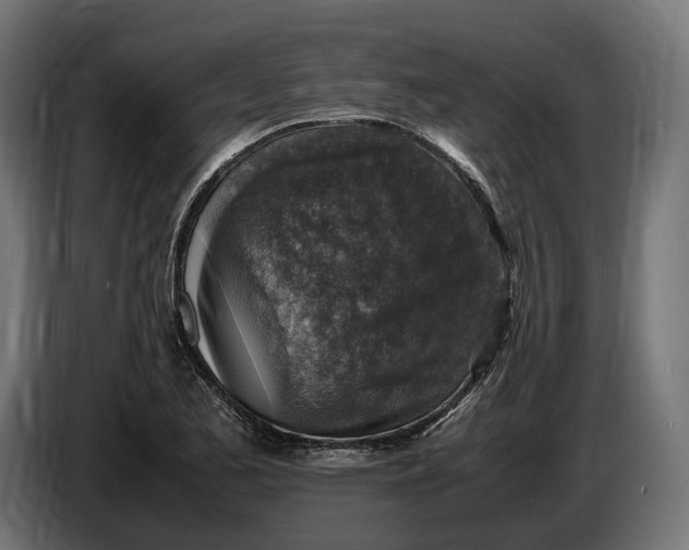 X0000086761173200705041442