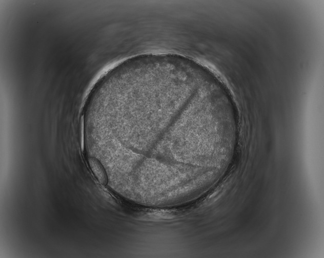 X0000086761175200705041442