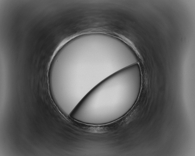 X0000086761176200705041442