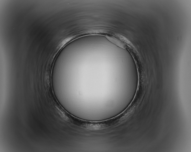 X0000086761177200705041442