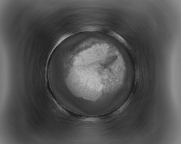 X0000086761178200705041442