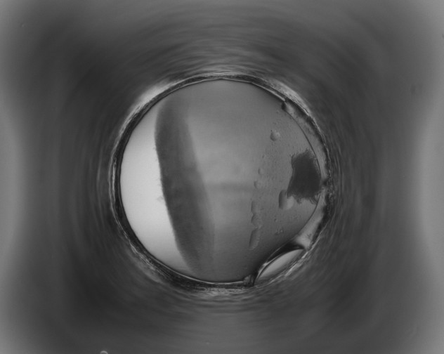 X0000086761179200705041442