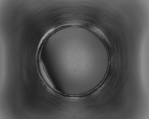 X0000086761180200705041442