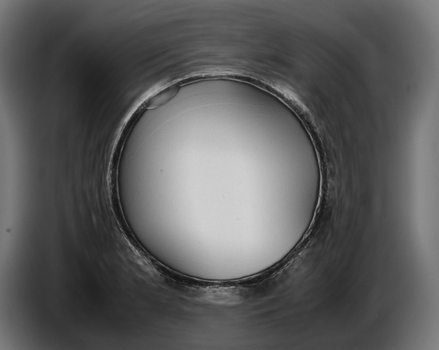 X0000086761181200705041442