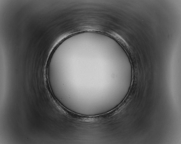 X0000086761182200705041442