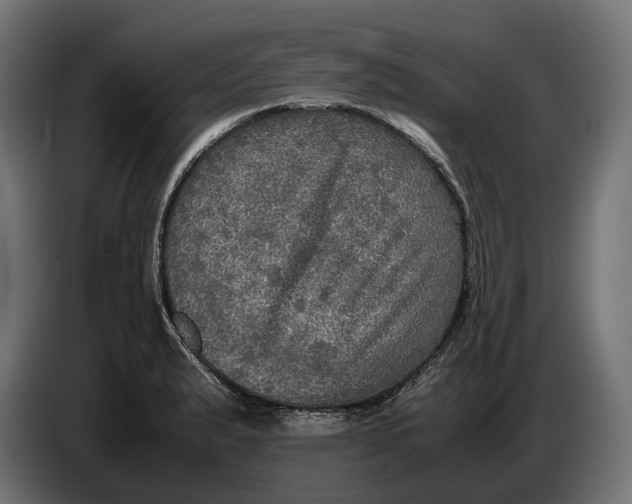 X0000086761183200705041442