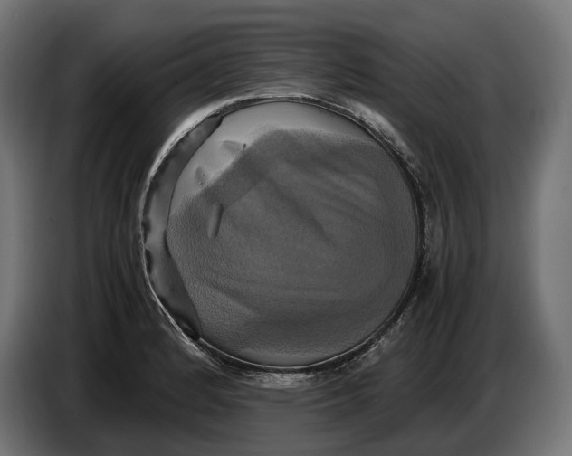 X0000086761184200705041442