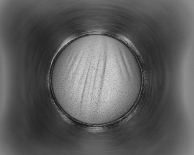 X0000086761186200705041442