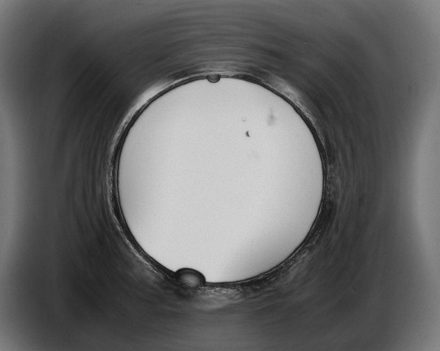 X0000086761187200705041442