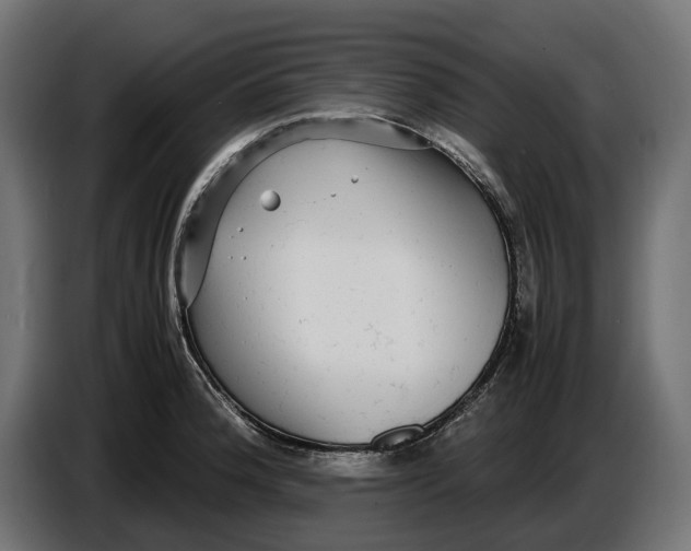 X0000086761188200705041442