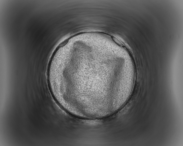 X0000086761189200705041442