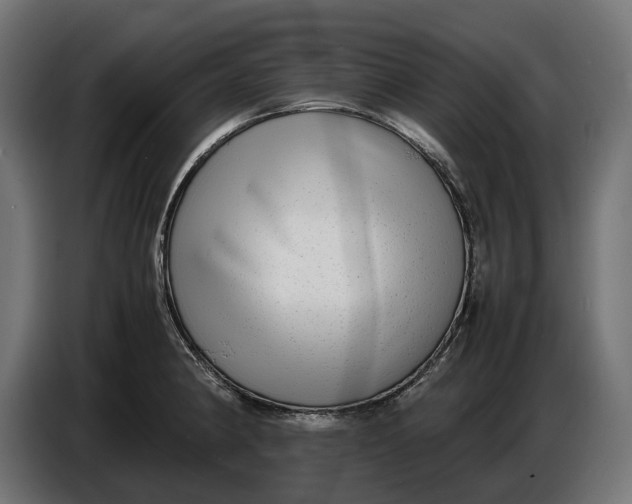 X0000086761190200705041442