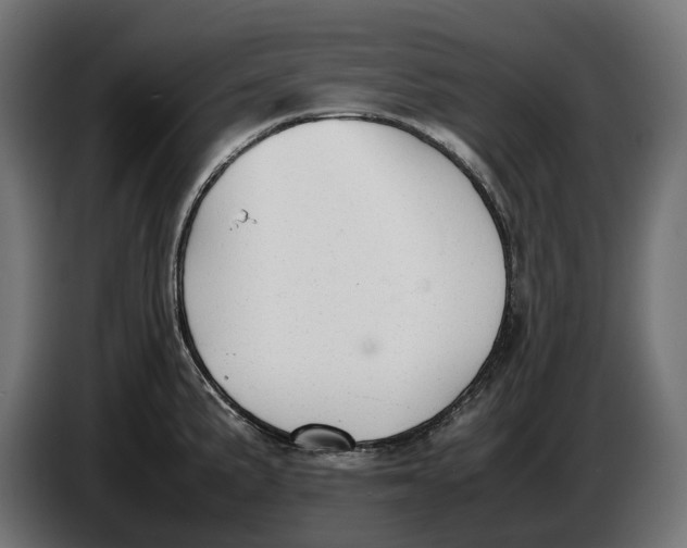 X0000086761191200705041442