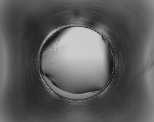 X0000086761192200705041442