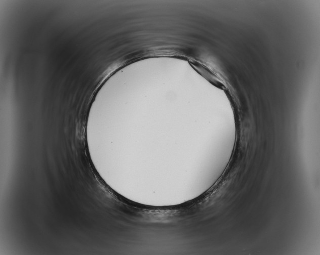 X0000086761193200705041442