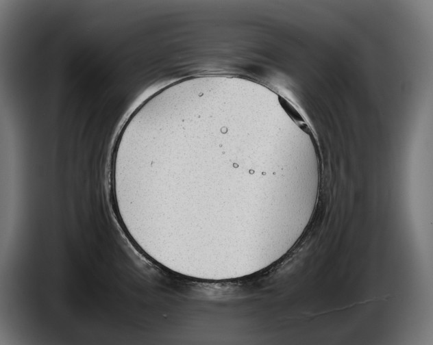 X0000086761195200705041442