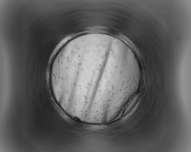 X0000086761196200705041442