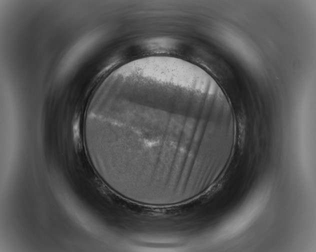 X0000086761198200705041442