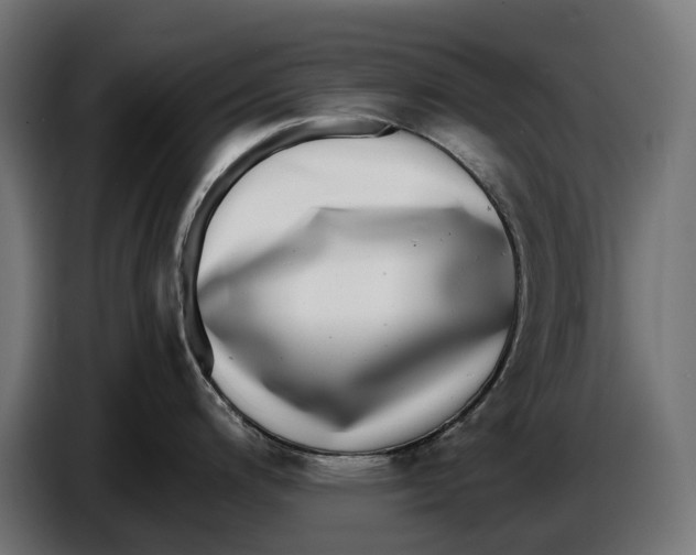 X0000086761200200705041442