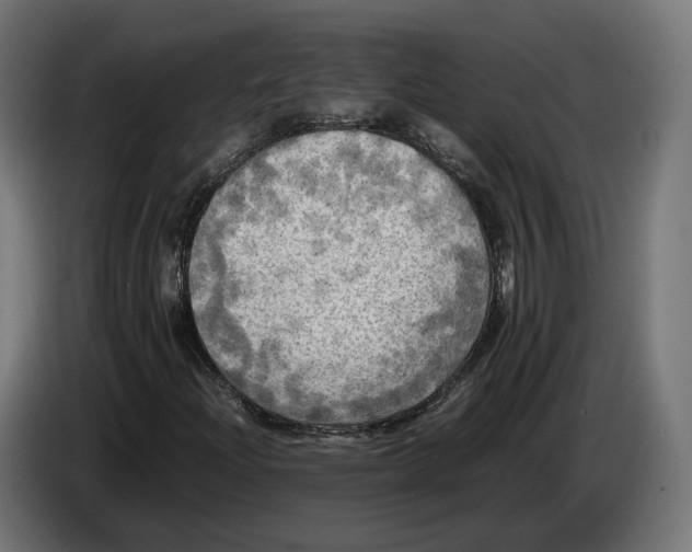 X0000086761204200705041441