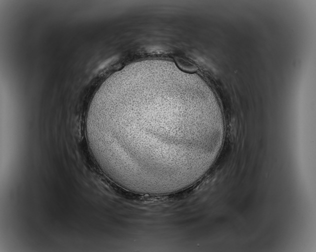 X0000086761205200705041441