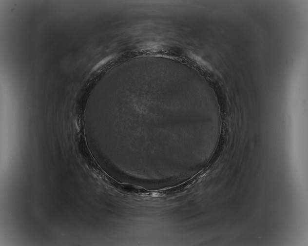 X0000086761206200705041441