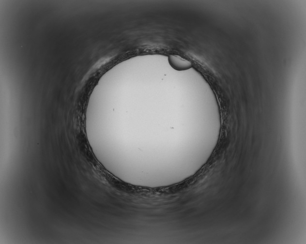 X0000086761207200705041441