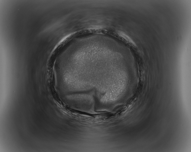 X0000086761208200705041441