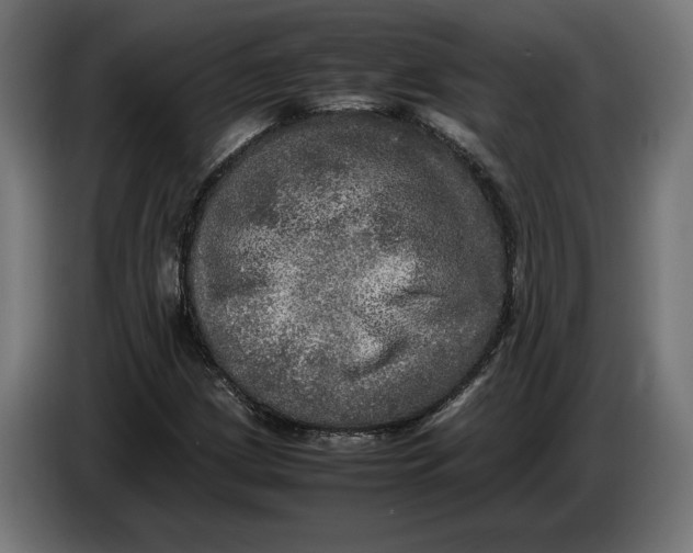 X0000086761209200705041441