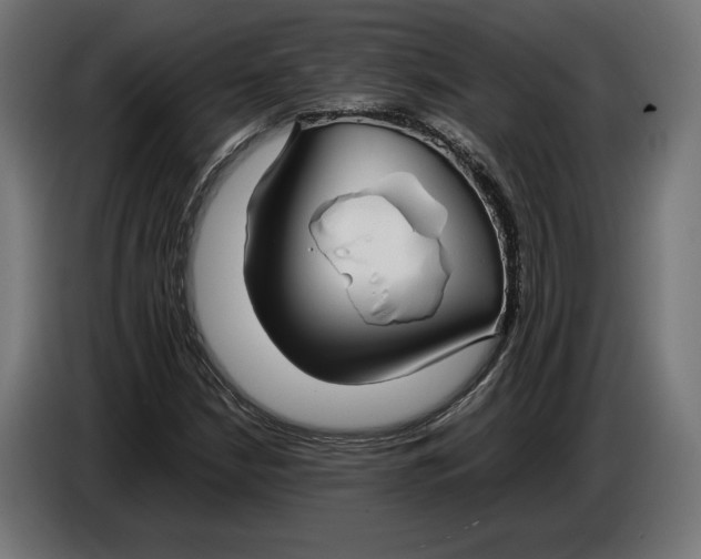 X0000086761210200705041441