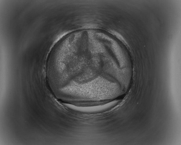 X0000086761212200705041441