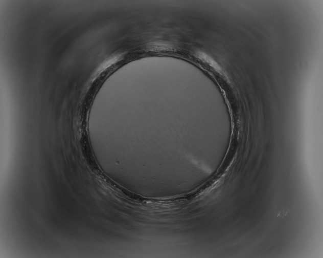 X0000086761213200705041441