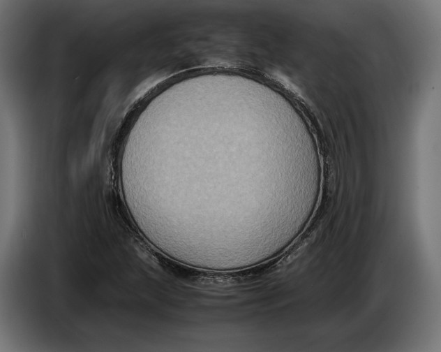 X0000086761215200705041441