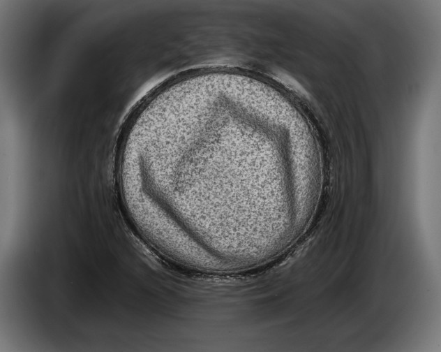 X0000086761216200705041441