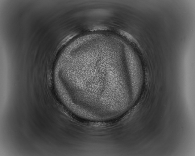 X0000086761217200705041441