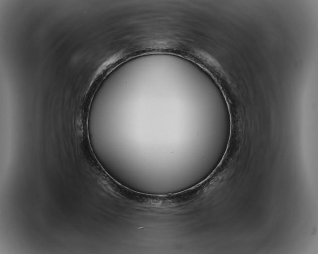 X0000086761218200705041441