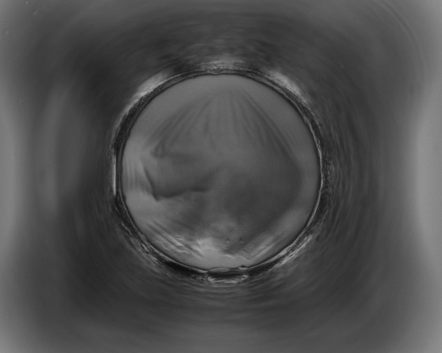 X0000086761219200705041441