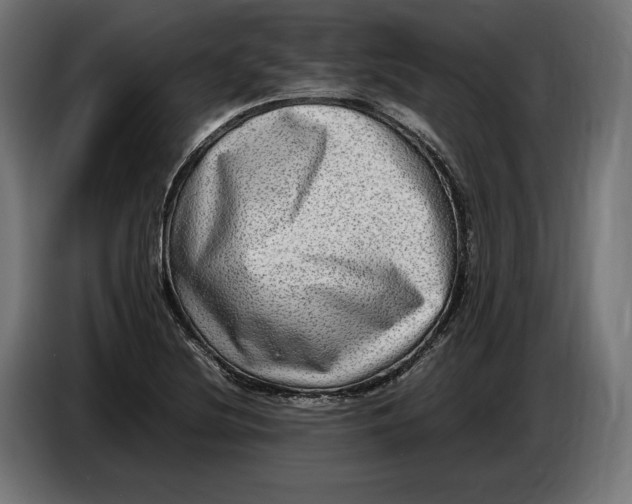 X0000086761220200705041441